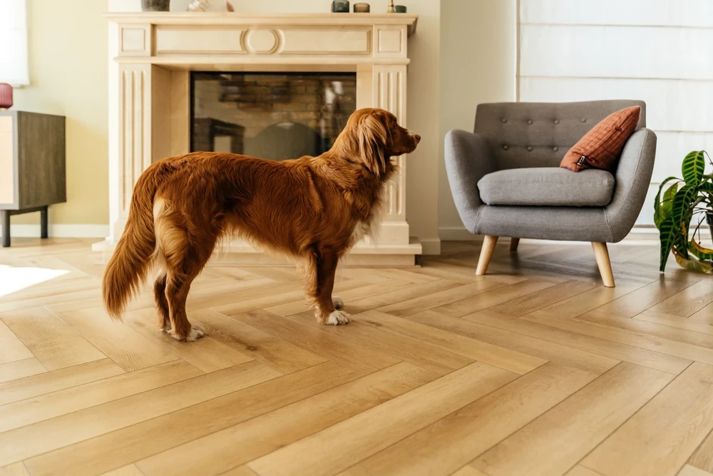 Panele winylowe Yukon Mistral Klasa 33 4+1 mm Lamett ParquetVinyl Herringbone - obrazek 2