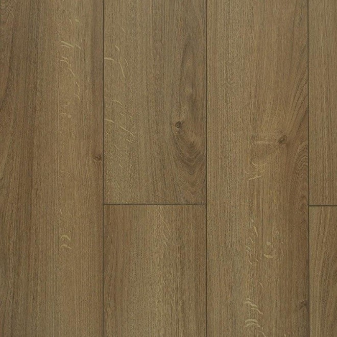 Panele laminowane Expert Pro Dąb Castoria 10 mm Weninger