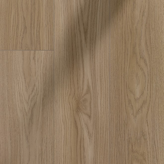 Panele laminowane Prestigo Dąb Nador 10 mm Weninger