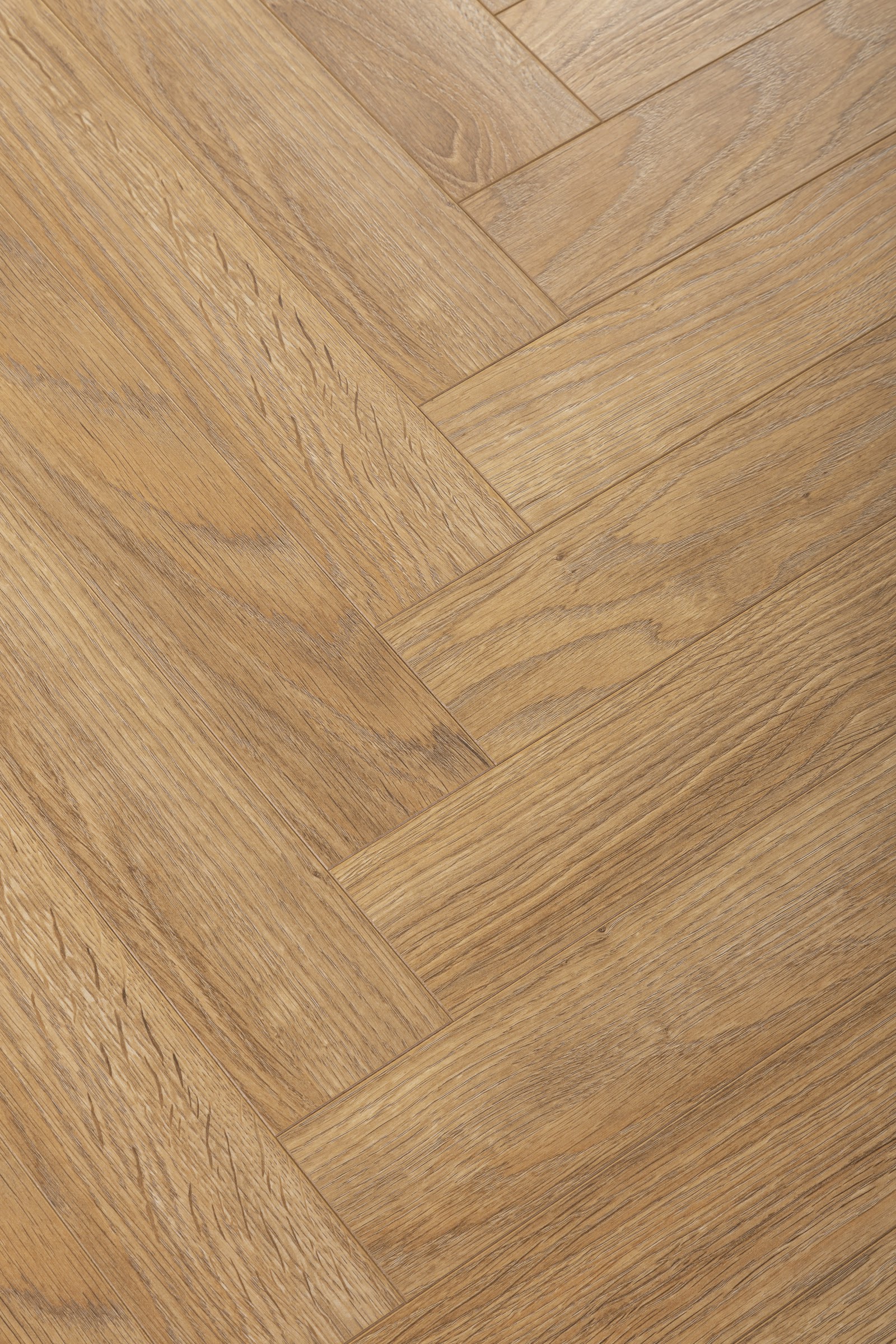 Panele laminowane Dąb Belweder (klepka B) Klasa AC5 8mm Maison+ Premium Floor