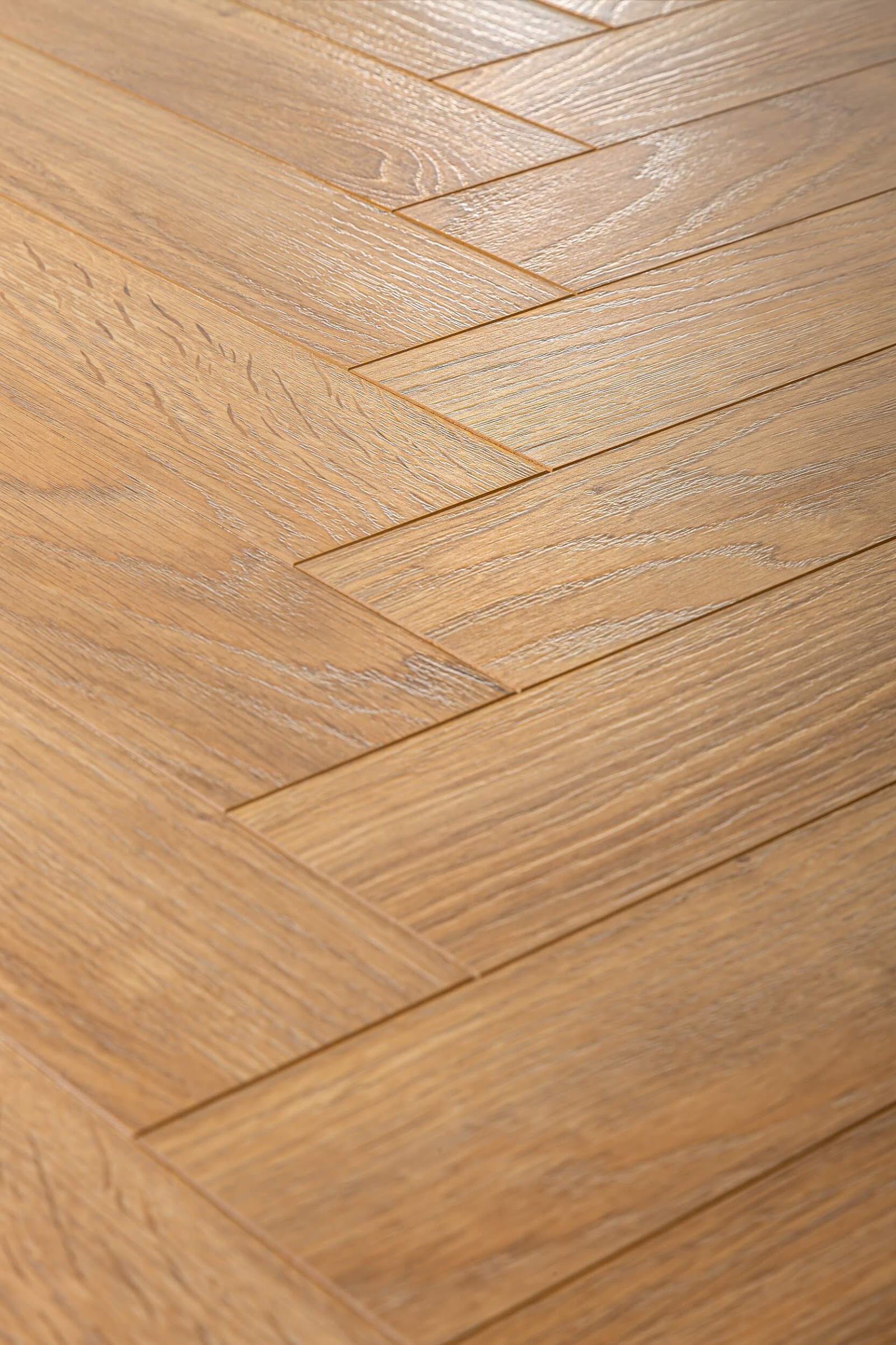Panele laminowane Dąb Belweder (klepka B) Klasa AC5 8mm Maison+ Premium Floor